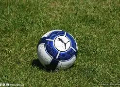 新时代西部,大开发新格,局深度解读,亚博,亚博体育,YaBo,亚博体育官网